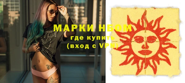 гидра Елабуга