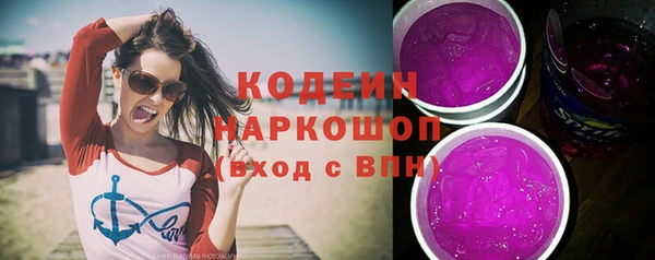 гидра Елабуга