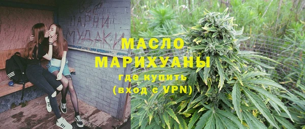 гидра Елабуга
