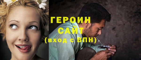 гидра Елабуга