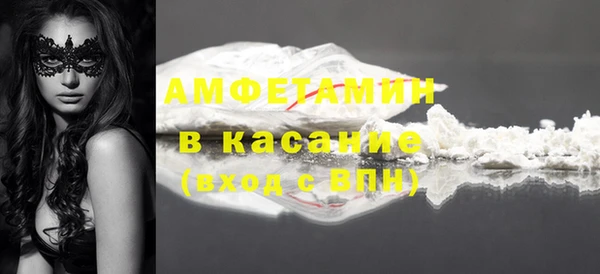 гидра Елабуга