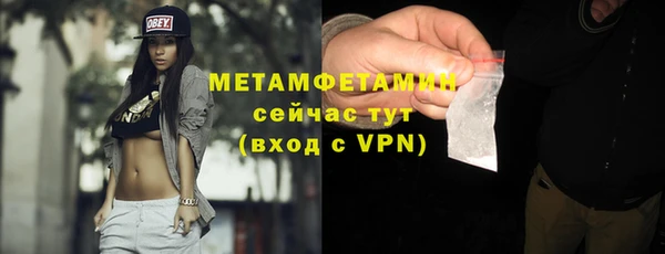 гидра Елабуга