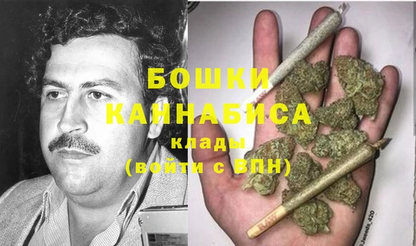 гидра Елабуга