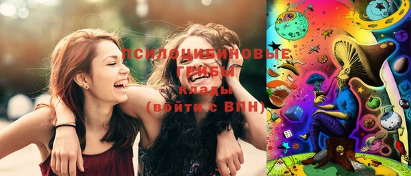 мяу мяу мука Ельня