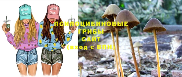 гидра Елабуга