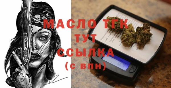 гидра Елабуга