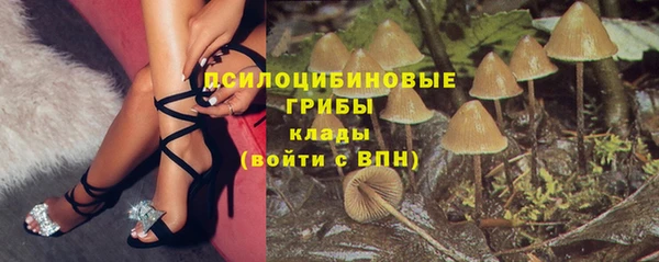 мяу мяу мука Ельня