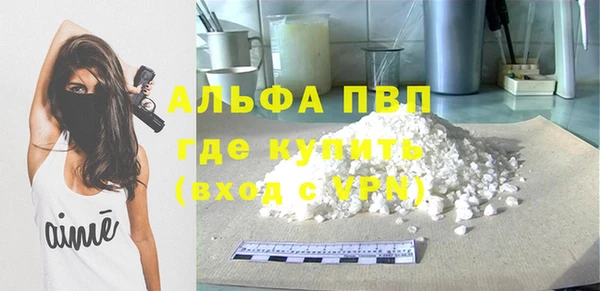 гидра Елабуга