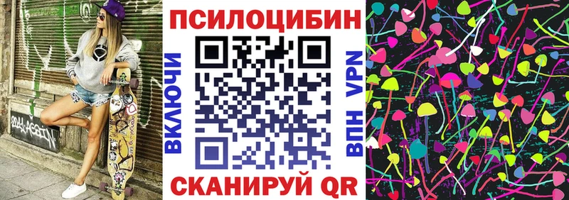 Купить где  Пучеж  Псилоцибиновые грибы Psilocybine cubensis 